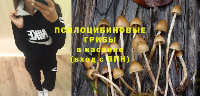 Псилоцибиновые грибы Magic Shrooms  купить наркоту  Берёзовский 